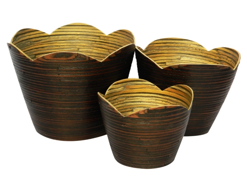 Curated Scallop Coiled Bamboo Planter Set - Eco-Friendly Indoor Pots